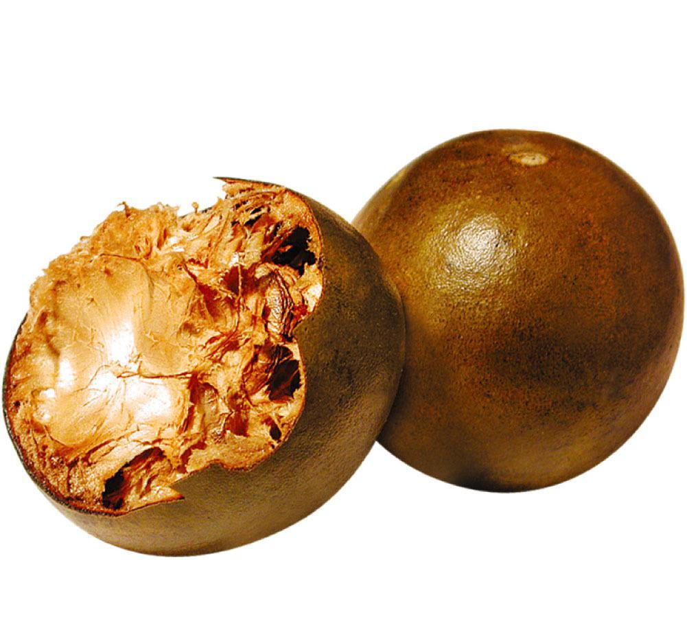 JDB����(�й���)���ٷ���վ